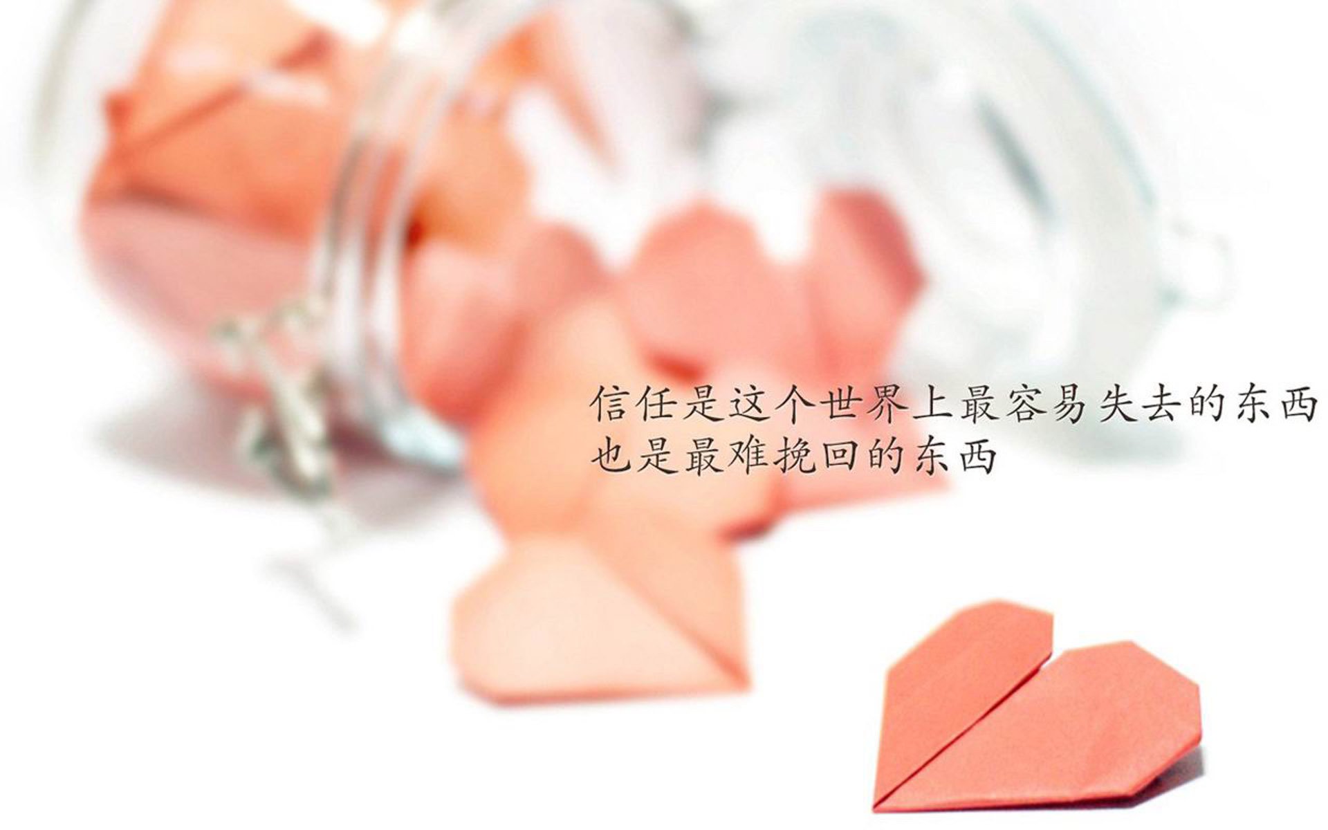 爱游戏平台-芝加哥熊队在选秀中选中顶级四分卫，芝加哥熊队厉害吗