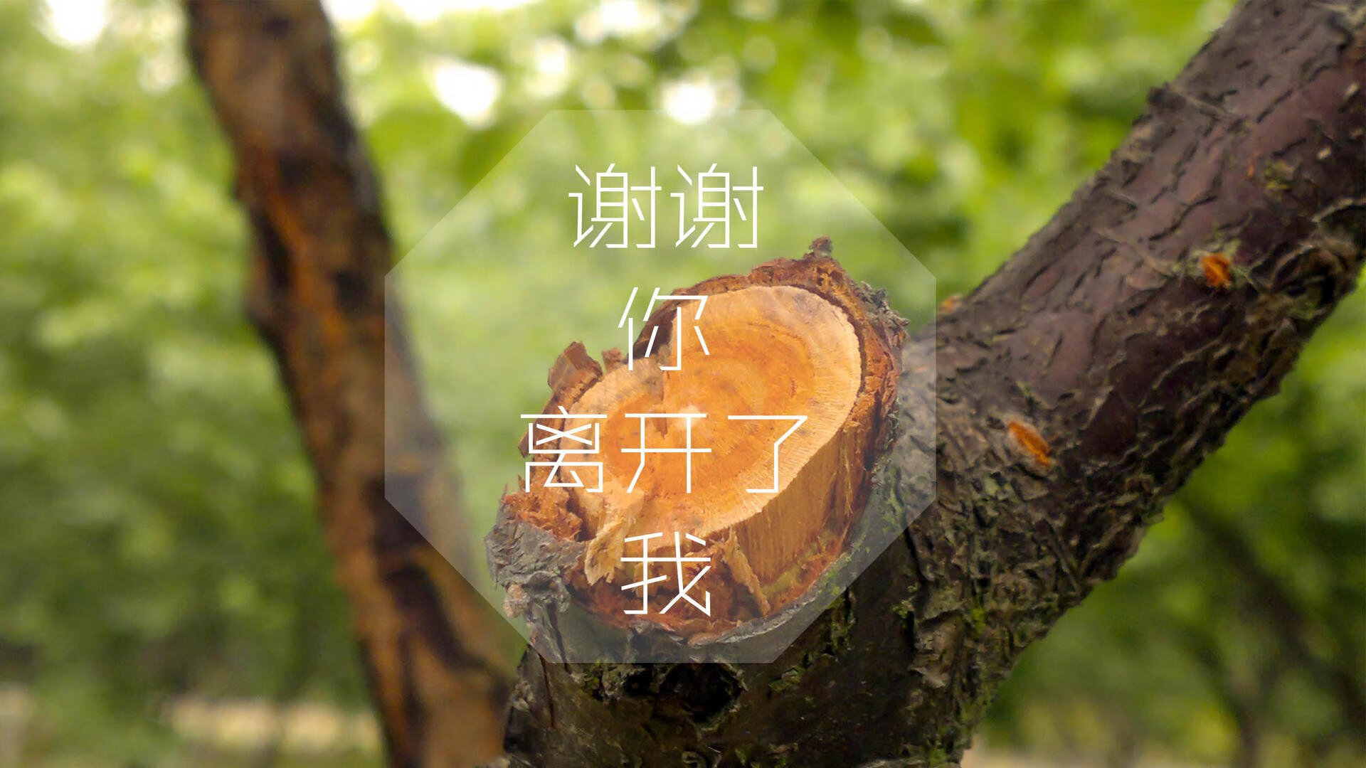 爱游戏中国官方登录入口网站-利物浦在对阵莱斯特城的比赛中展现团队配合，利物浦与莱斯特城比赛结果