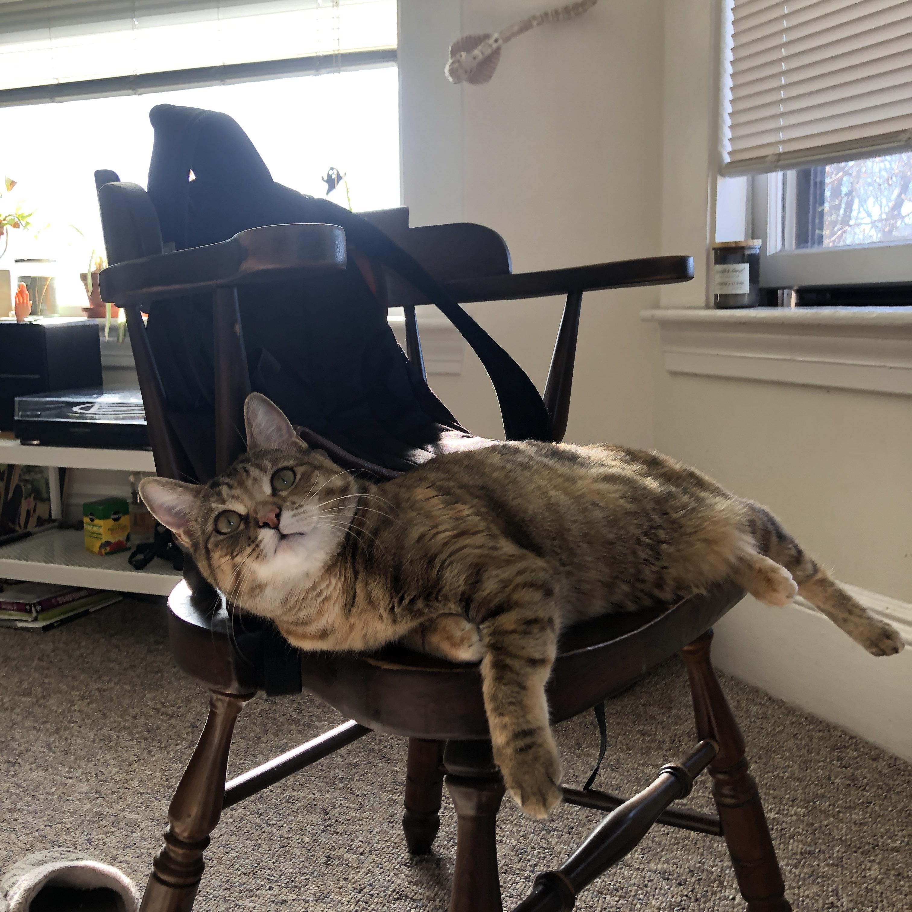 意甲VAR系统语义模型提升判罚透明度的应用分析，意甲var使用规则