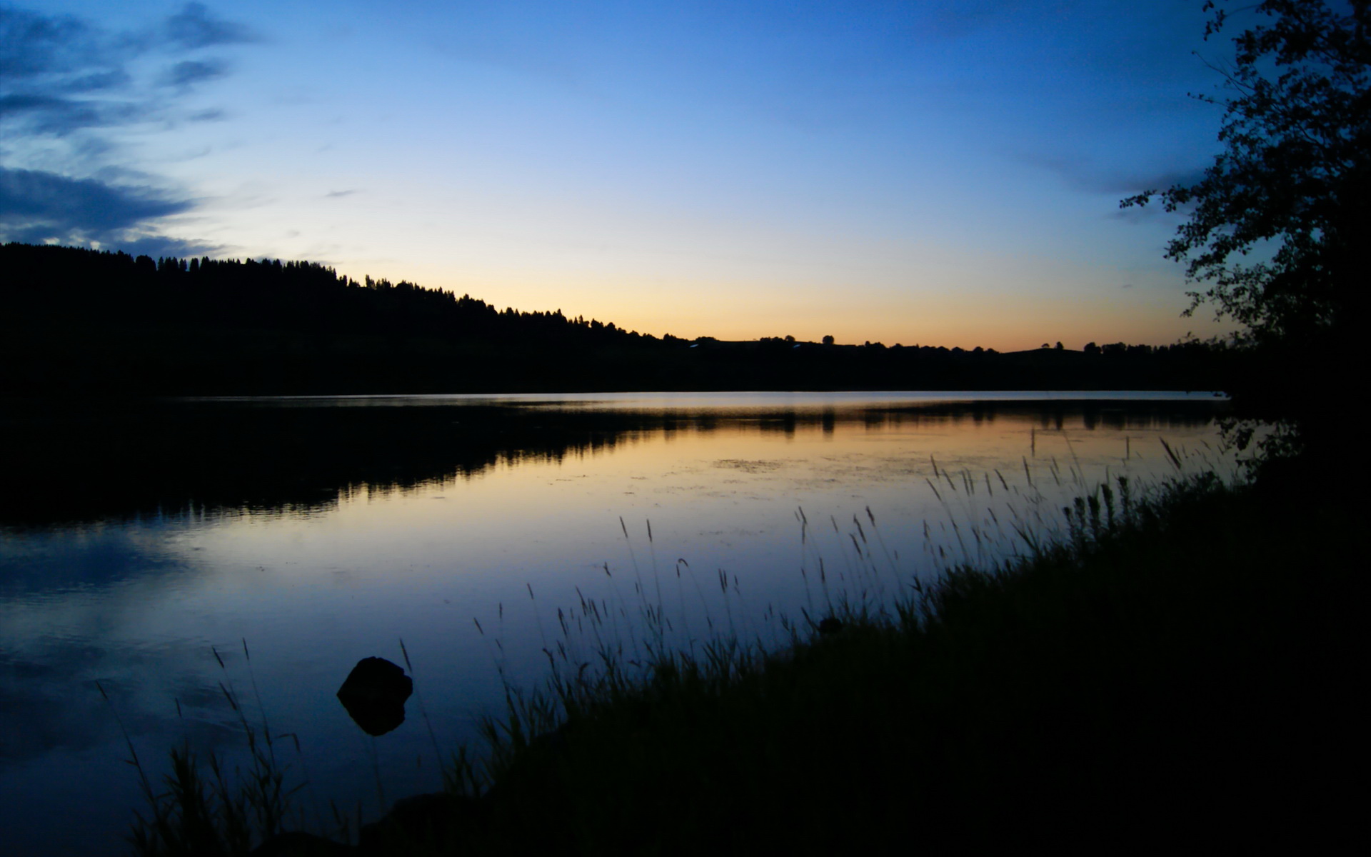 英超比赛中心理教练介入频次与球队表现关联，2021英超教练