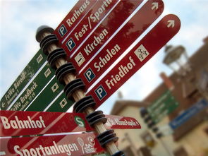 爱游戏体育平台-高校运动队选拔机制公平性研究，高校运动队选拔机制公平性研究报告