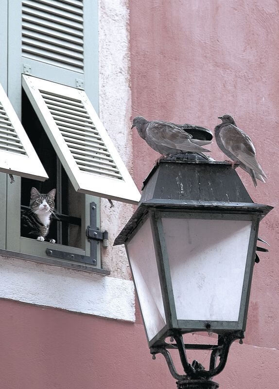 体育新闻中心推动智能体育内容生成技术研发,智能体育项目