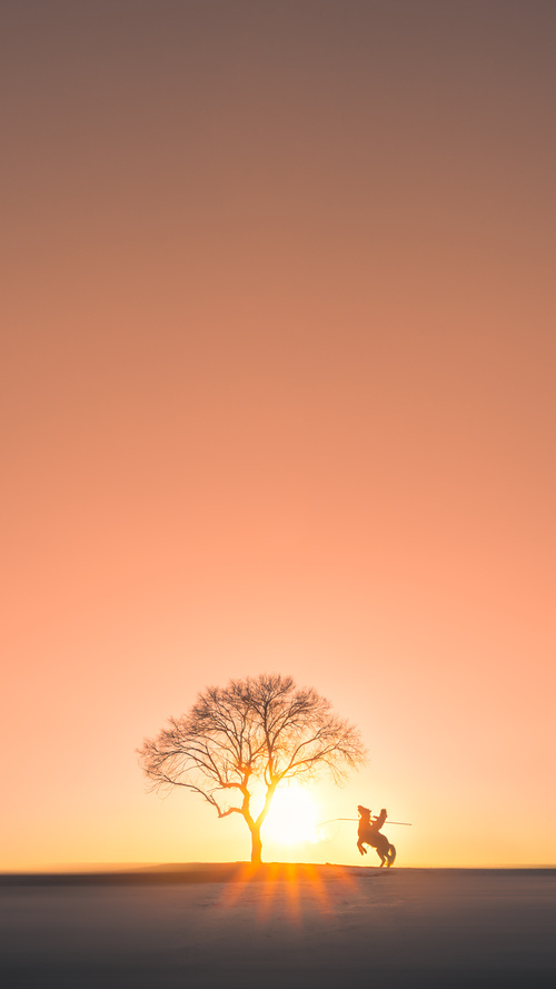 爱游戏登录入口-埃及队未来规划：优化赛制，提高赛事参与度与吸引力，埃及国家队赛程