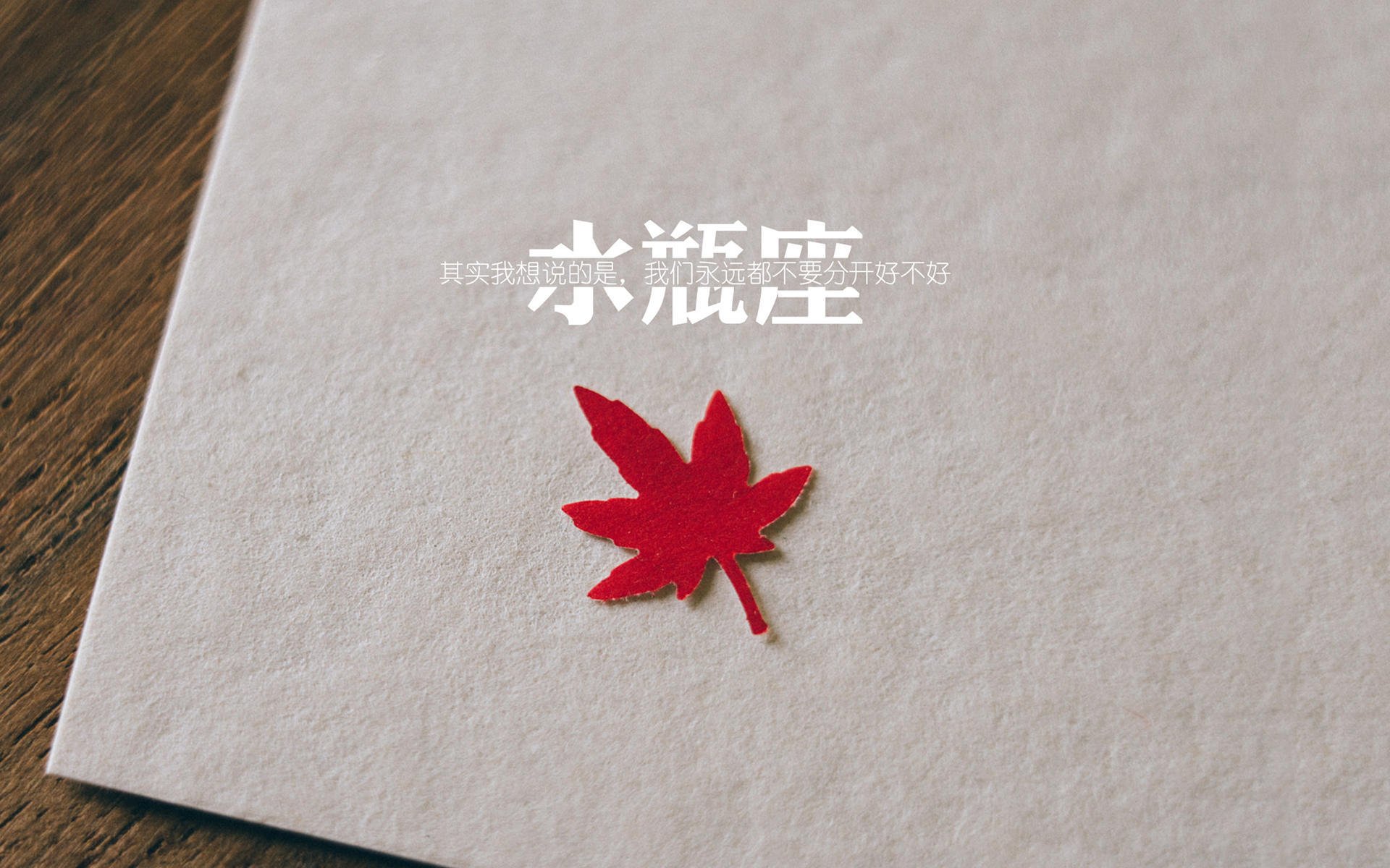 罗马尼亚队赛制评析:如何在团队赛中实现个人与集体的和谐统一