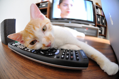 爱游戏体育app-轻艇竞速，兴隆湖激情上演水上盛宴，兴隆湖可以划船吗