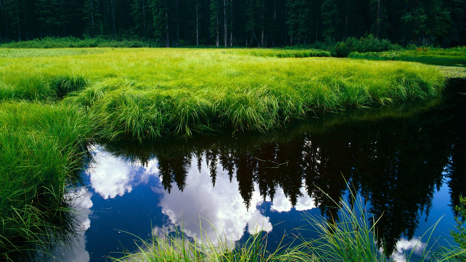 爱游戏官网-里昂整体推进速度加快打出流畅配合，里昂实力