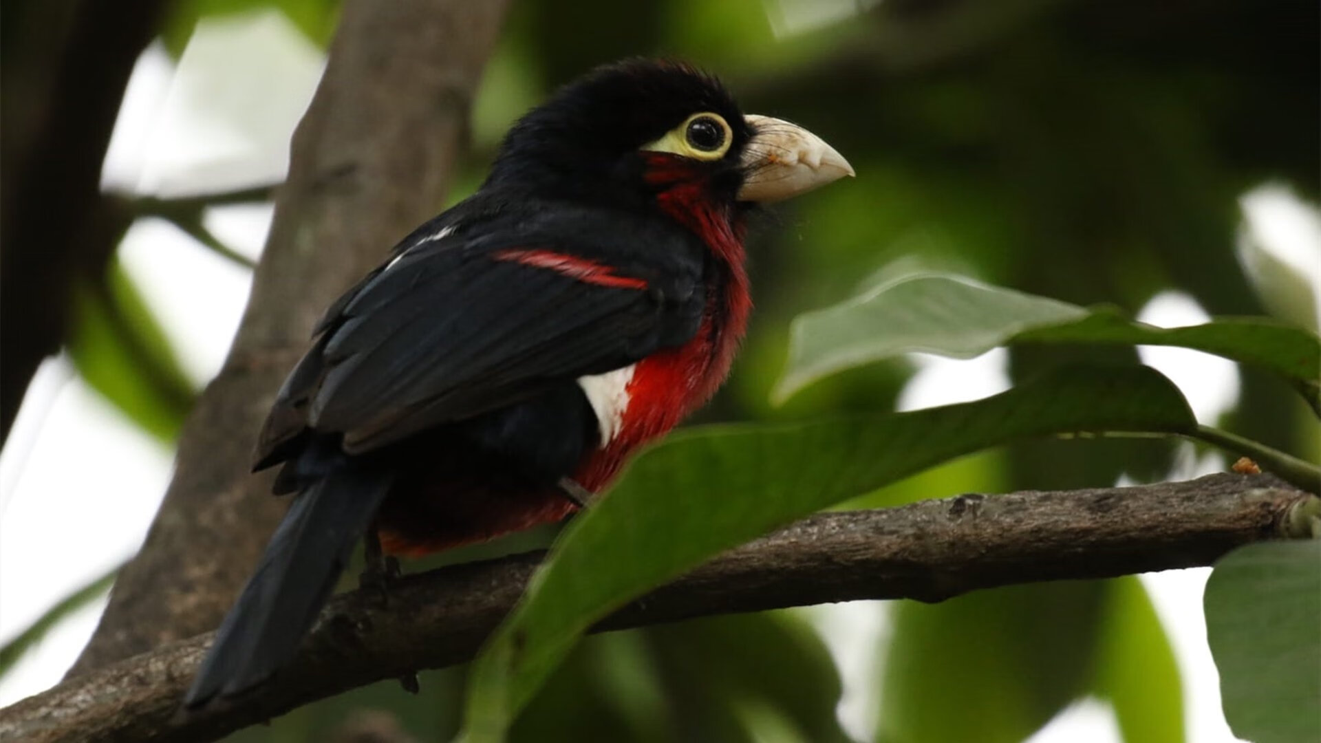 AYX体育-世界杯奇迹逆转：逆境中的英雄崛起，世界杯经典逆转