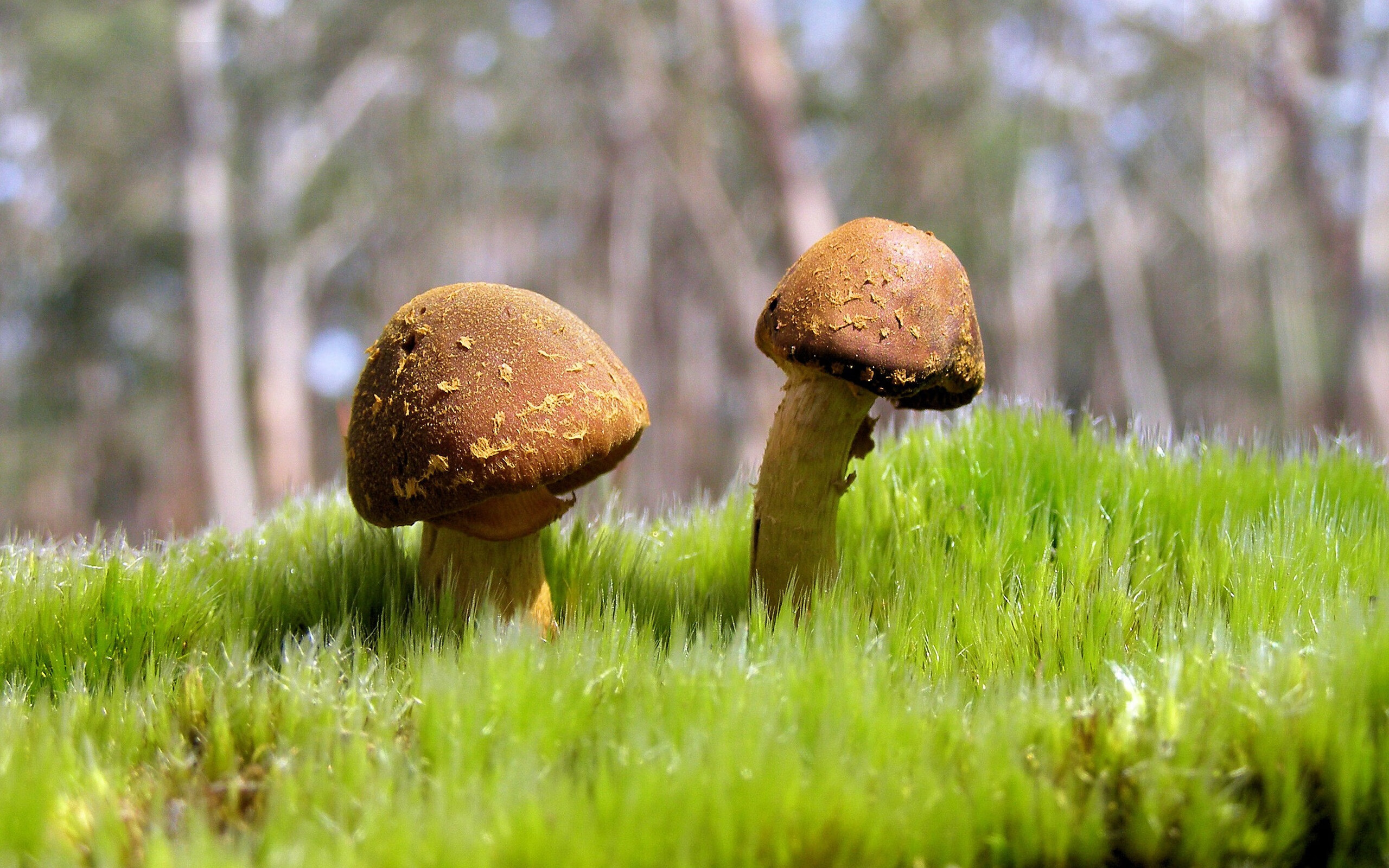 克莱尔·柯尔赞赛后分享训练细节，克莱尔克