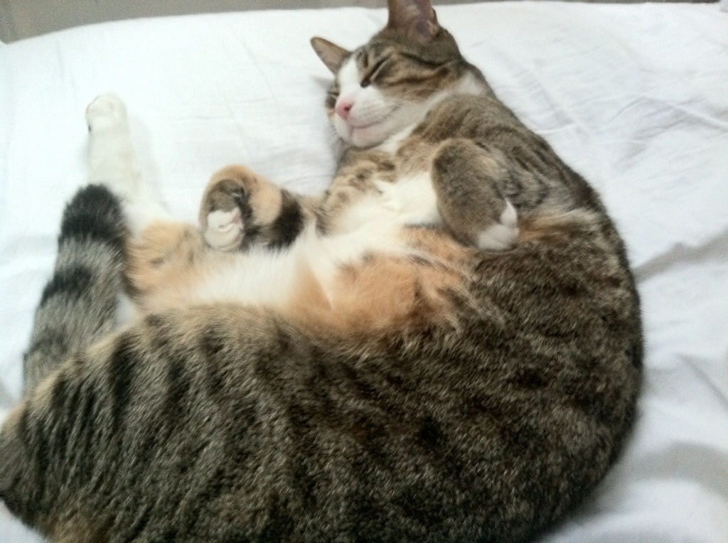 南美预选赛对阵日程公布，焦点赛事提前预热，南美预选赛赛程表