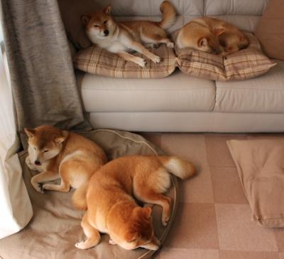 曼联高层召开发布会回应质疑，曼联最新大名单